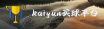 怎么找kaiyun线上买球官方入口？直达KAIYUN安全投注站